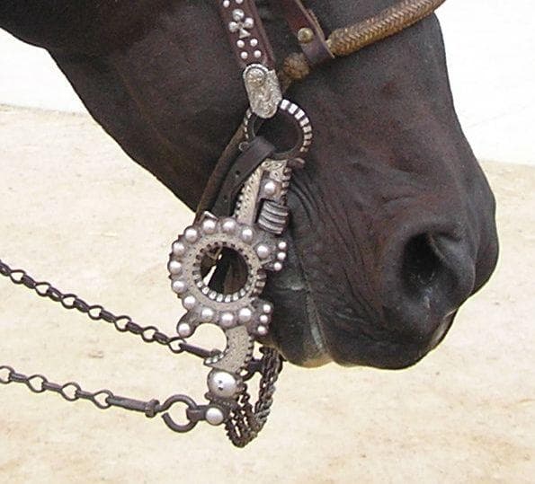 Bit the curb. Комиксы марио. J b smoove. J b smoove. J b smoove.