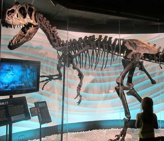 Humans And Dinosaurs Lived Hap... is listed (or ranked) 4 on the list The Most Unbelievable Attractions At The Creation Museum