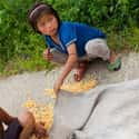 Children Collecting Corn On The Road, Kaesong on Random Pictures Of Rural Life In North Korea