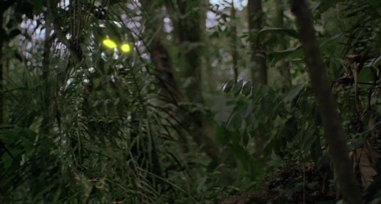 'Predator' Behind-The-Scenes Stories And Details