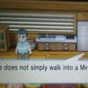 The One Meme To Rule Them All Man Who Lives In Pacifidlog Town on Random Funniest Things Pokémon NPCs Have Ever Said