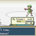 The Jr Trainer Who Can't Help Correcting Himself In Brock's Gym on Random Funniest Things Pokémon NPCs Have Ever Said