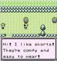 The Youngster Trainers Whose Love Of Shorts Knows No Bounds On The Road To Pewter City on Random Funniest Things Pokémon NPCs Have Ever Said