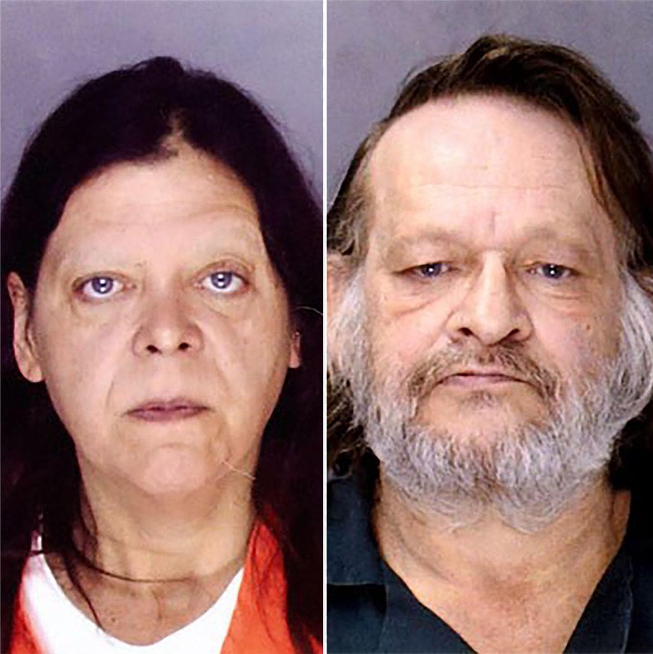 The True Story Of The Pizza Delivery Guy With The Bomb Collar