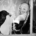 He Was Terrified Of Eggs on Random Extremely Bizarre Things Most People Don't Know About Alfred Hitchcock
