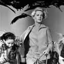 He Terrorized Actress Tippi Hedren And Her Daughter on Random Extremely Bizarre Things Most People Don't Know About Alfred Hitchcock