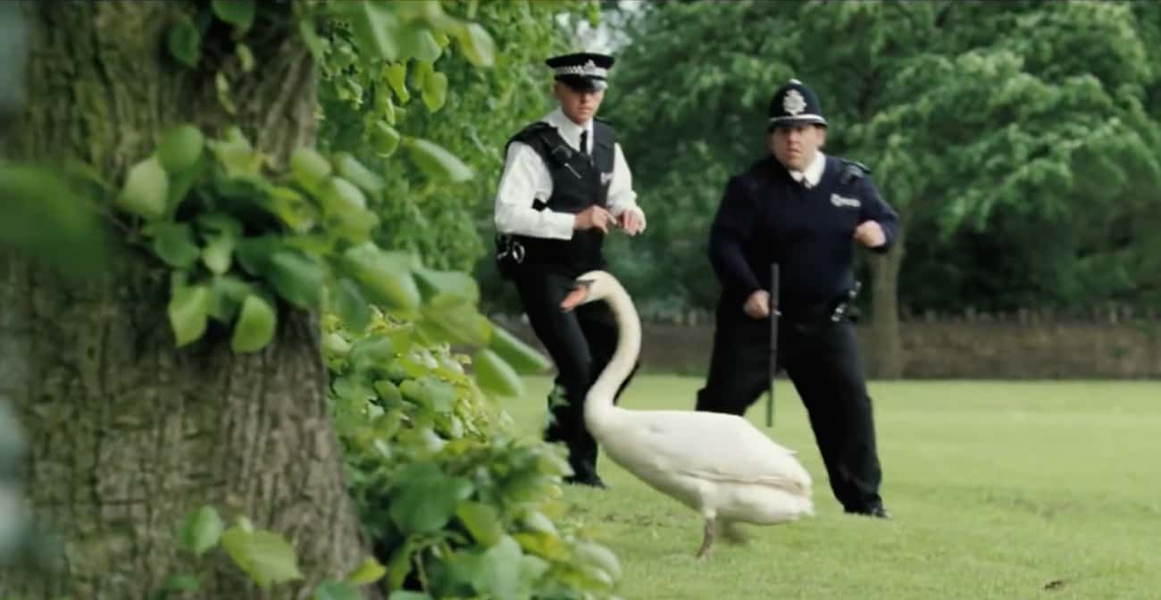 There Was More Than One Swan In Hot Fuzz