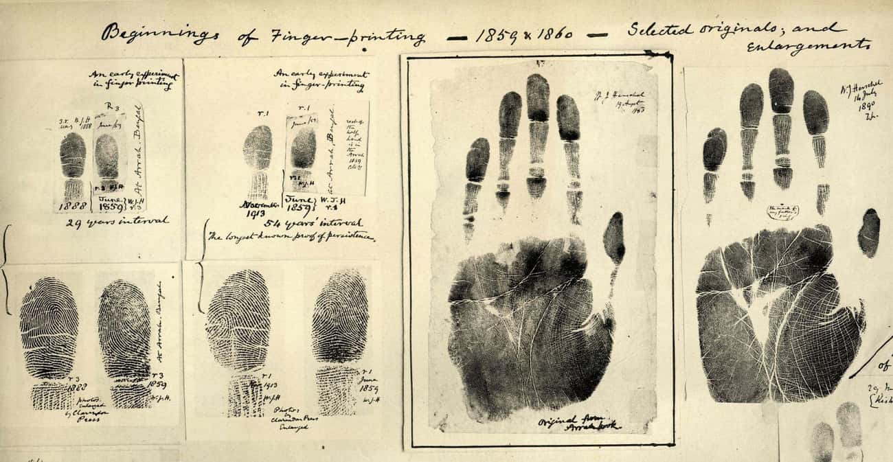A Commonly Used Fingerprint System Was Created By A Eugenicist