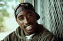 Tupac Faked His Own Passing And Is In Hiding on Random Conspiracy Theories About Murder Of Tupac Shaku