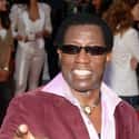 He Didn't Pay His Taxes For Three Years on Random Wesley Snipes Has Proven To Be One Of Hollywood's Most Eccentric Stars