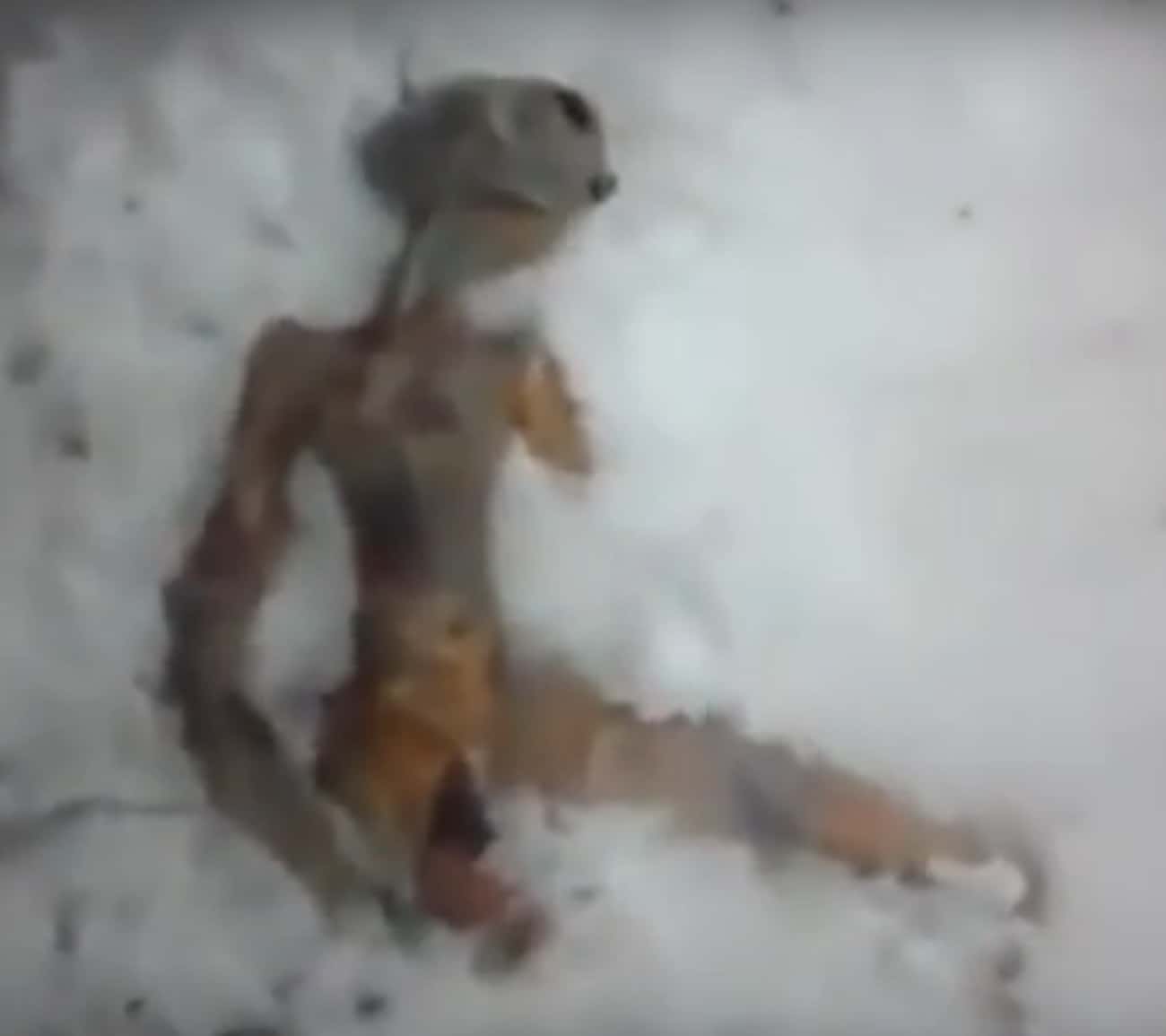 The Alien Frozen In The Snow