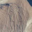 The Geoglyphs Of Nazca Were Created To Attract Extraterrestrials on Random 'Ancient Aliens' Made (Reasonably) Compelling Points