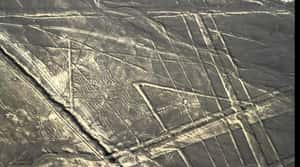 The Nazca Lines Were A Man-Mad... is listed (or ranked) 4 on the list Ancient Aliens May Have Found Actual Proof Of Extraterrestrial Life