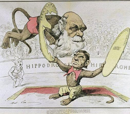 What Happened Immediately After The Theory Of Evolution Was Published