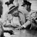He Was Arrested 29 Times on Random Surprising And Little-Known Facts About Martin Luther King Jr.