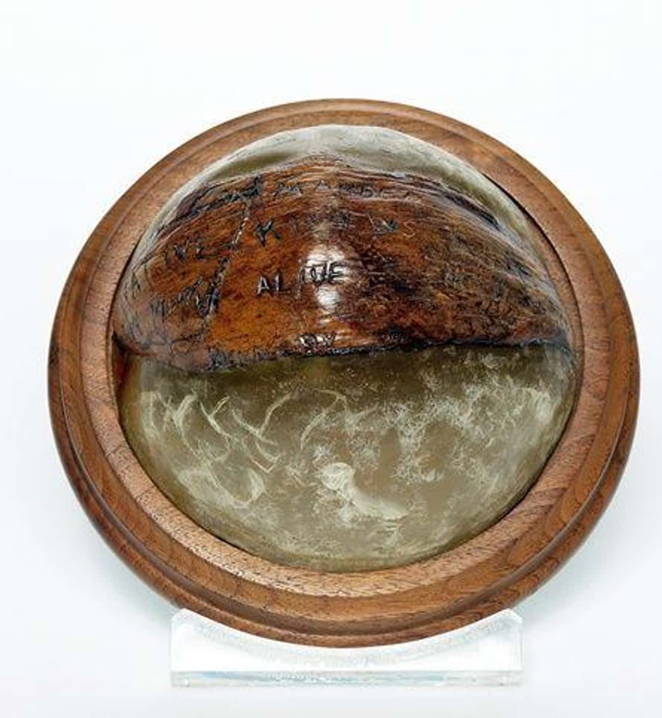 While Stranded, Lt. Kennedy Carved A Message Into A Coconut, Which He Later Used As A Paperweight