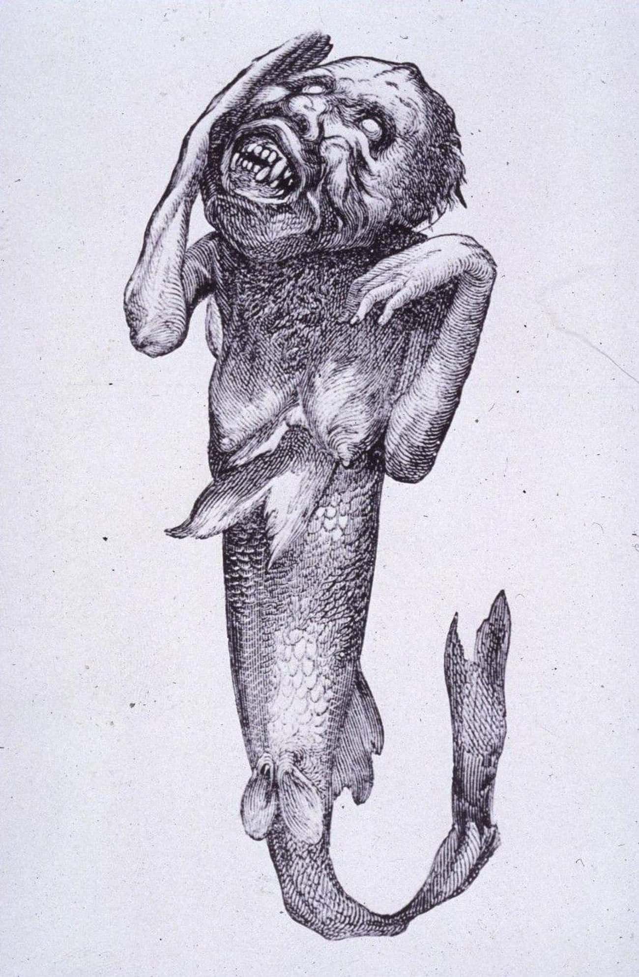 His Feejee Mermaid Was Actually Half Orangutan, Half Fish