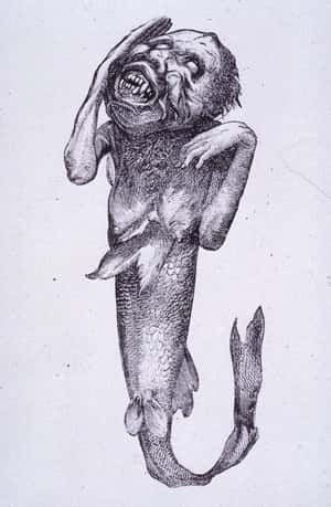 His Feejee Mermaid Was Actuall... is listed (or ranked) 3 on the list 14 Incredible Facts About American Showman P.T. Barnum