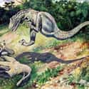 If Oil Is Made Of Dinosaurs, Why Aren’t Dinosaurs Found With Oil? on Random Ridiculous Dinosaur Theories That People Somehow Believe Are True