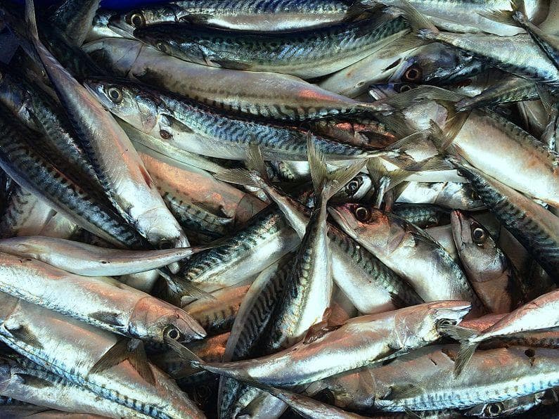 13 Interesting Things Used As Currency In Prison