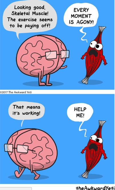 Exercise on Random Hilarious Web Comics From Awkward Yeti That Get Way Too Real