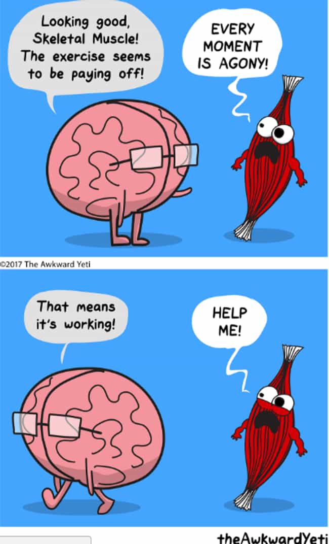The Best of Awkward Yeti's Hilarious Webcomics