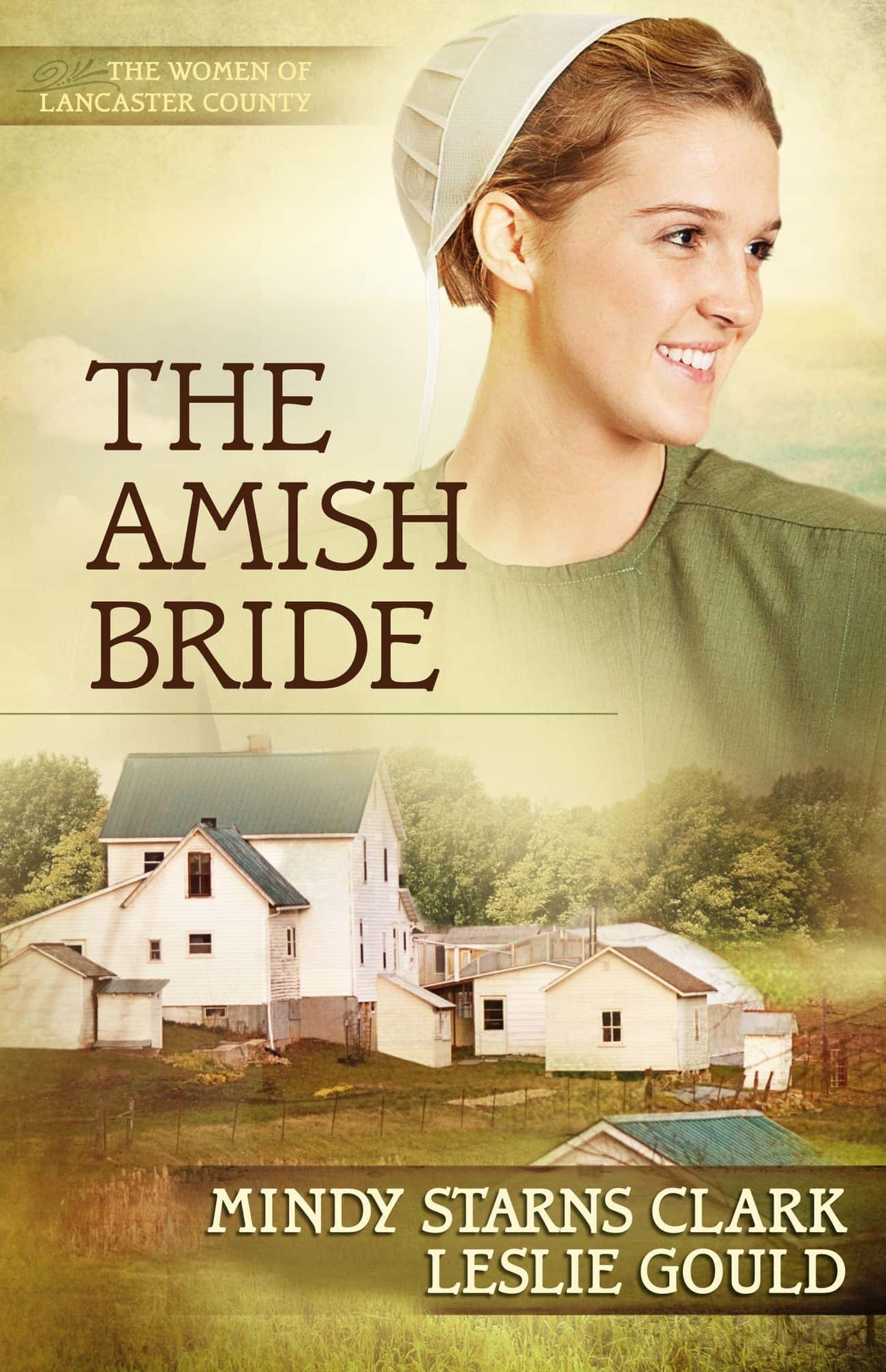 They Aren&#39;t Really Written For Amish Readers