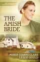 They Aren't Really Written For Amish Readers on Random Things About Amish Romance Novels