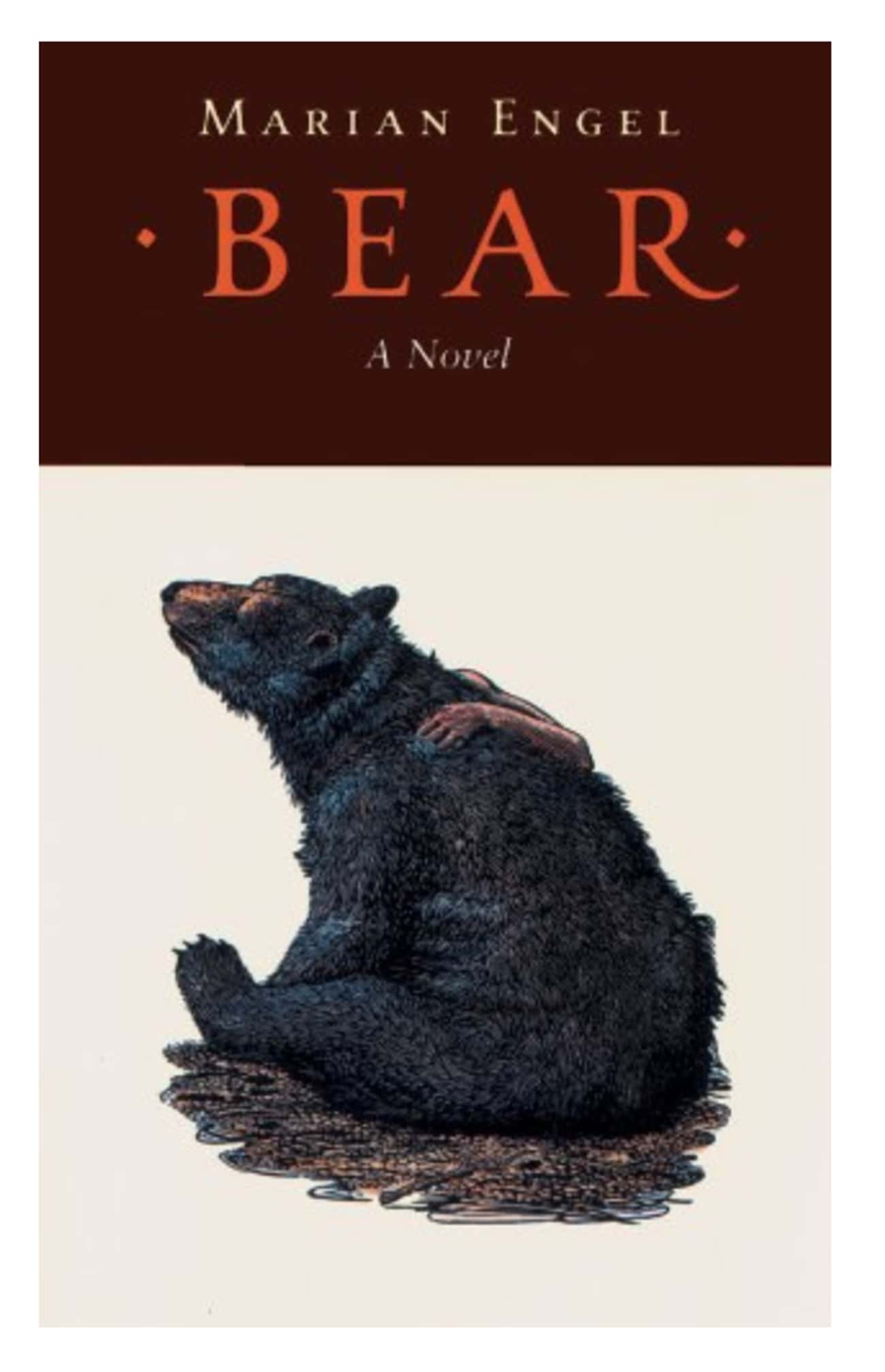 Bear Novel