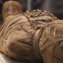 The Discovery Of Hatshepsut's Mummy Finally Shed Light On How She Died on Random Things You Never Knew About Egypt's Greatest Female Pharaoh
