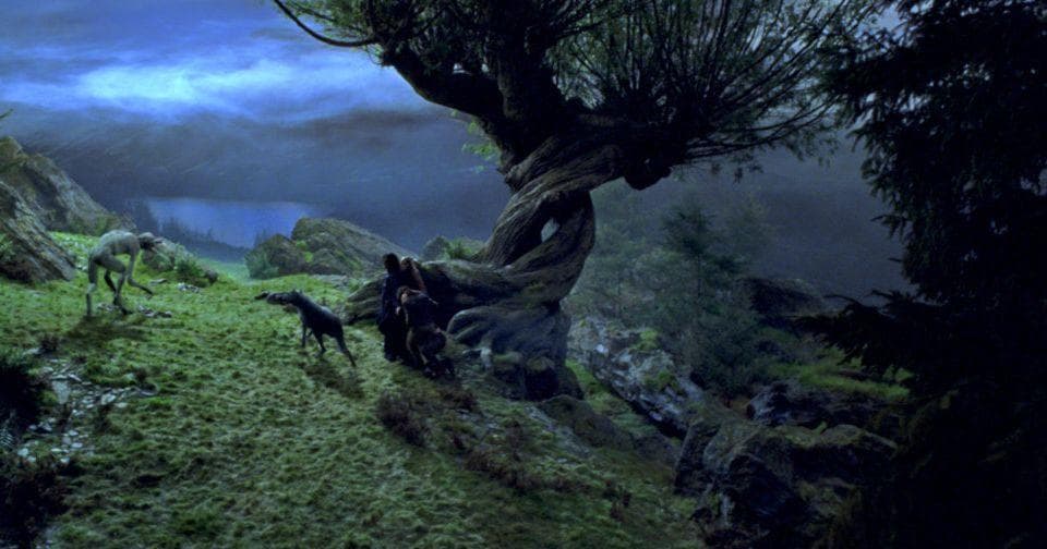 You Can Be Bludgeoned To Death By A Tree