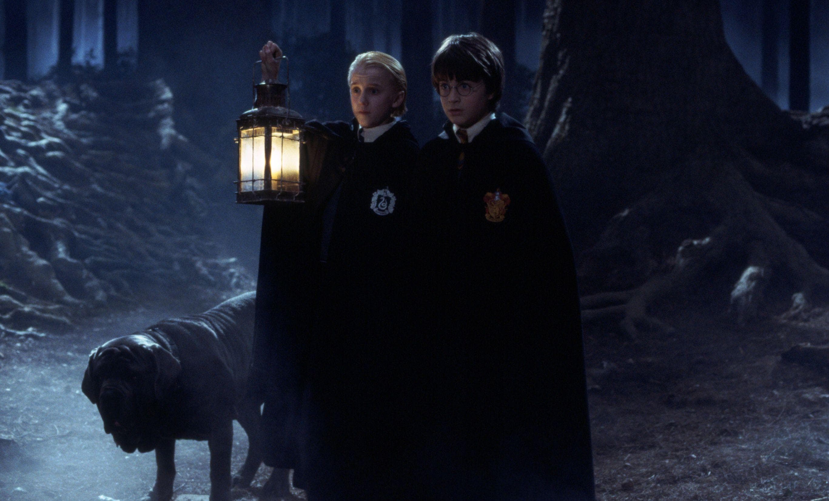 A Forest Full Of Murderers Is Used For Children's Detention