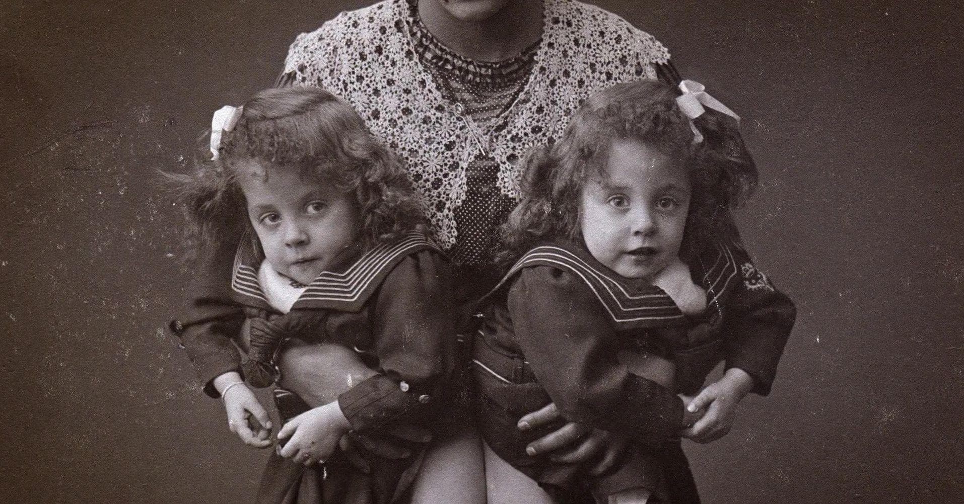 Дейзи близнецы. Дейзи близнецы. Дейзи близнецы. Дейзи близнецы. Дейзи близнецы.