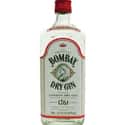 Bombay Original Gin on Random Best Gin Brands