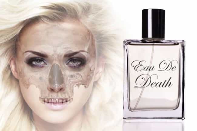 Perfume Made From Chemicals Em... is listed (or ranked) 2 on the list Human Corpses Are Being Used To Make Modern Products And People Are Actually Buying This Stuff