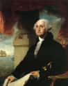 George Washington Chowed Down On Hoecakes And Peanut Soup on Random Weird And Disgusting Foods Founding Fathers At