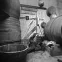Stabbed In A Wine Cellar on Random Visceral Crime Scene Photos From 1910s New York