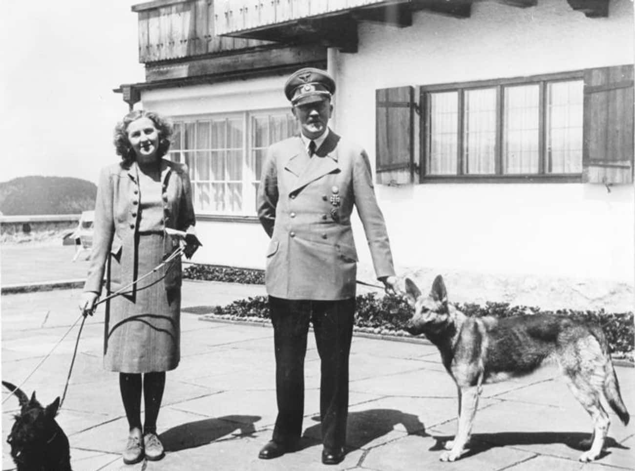 Blondi Moved Into The Führerbunker With Hitler In 1945, And Eva Braun Wasn&#39;t Happy About It