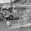 A Journalist Captured Duc's Utter Composure on Random Story Behind The Vietnam-Era Monk Self-Immolation Photo