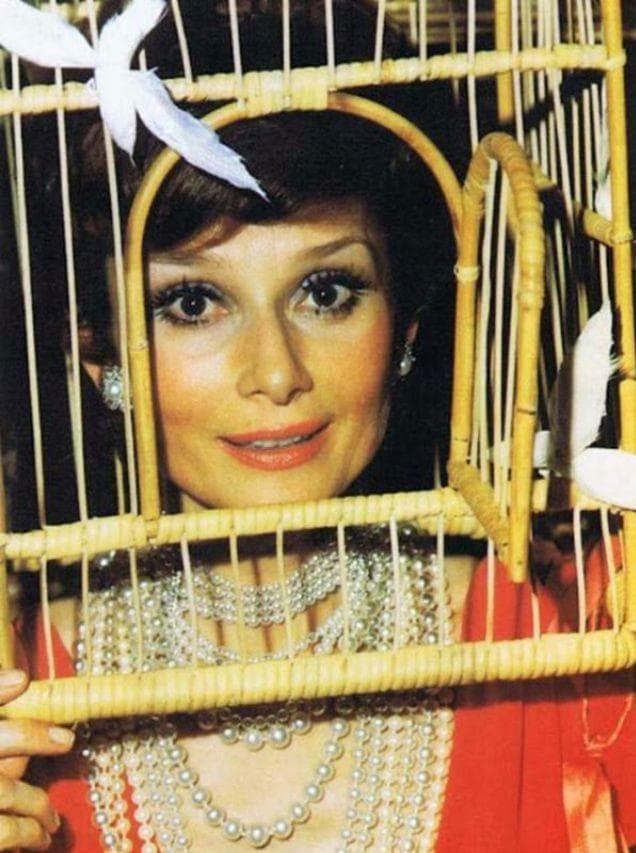 Audrey Hepburn, A Close Friend... is listed (or ranked) 4 on the list New Unearthed Photos Reveal Secret Rothschild Illuminati Party