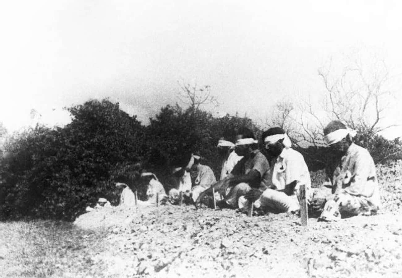 Life In Japanese POW Camps