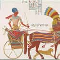 Fancy Chariots And Even Some Not So Fancy Chariots on Random Odd And Insane Things Ancient Pharaohs Were Buried With
