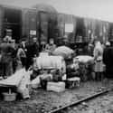 Soviet Era Deportations - Around 6 Million on Random Biggest Mass Deportations and What the Consequences Were