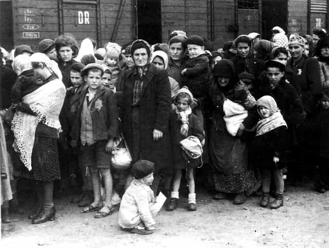 The Final Solution - Between 6... is listed (or ranked) 2 on the list History's Biggest Mass Deportations and What the Consequences Were