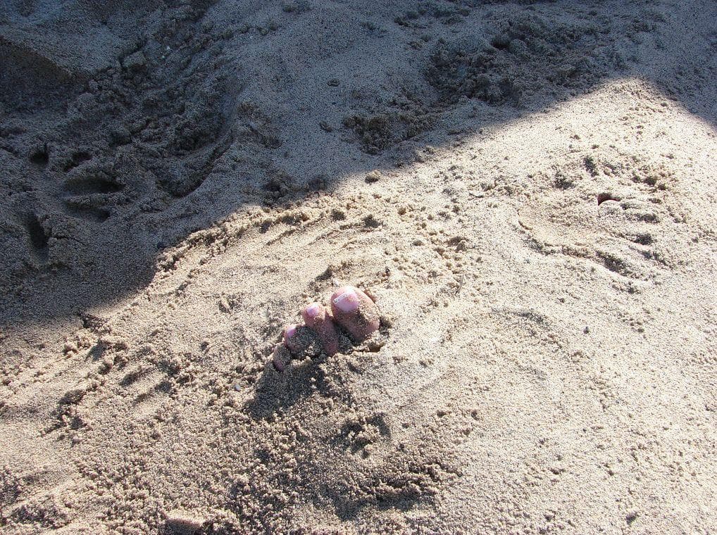 Four Children Were Kidnapped O is listed (or ranked) 5 on the list Inside The Mexican Cartel's Unspoken Child Organ Harvesting Ring