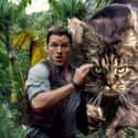 Arriving Home Bearing The Scent Of Another Cat You Casually Petted on Random Jurassic Park's Dinosaurs Replaced With Cats Is An Internet Masterpiece