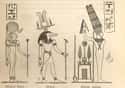 Sḫt (Sekhet) - Egypt on Random Third Genders From Cultures Around World