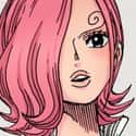 Reiju Vinsmoke on Random Best Anime Characters With Pink Hai