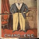 Over A Hundred Years After Their Death, Their Fame Became Known In Thailand on Random Things About The Strange Lives Of Chang And Eng Bunker