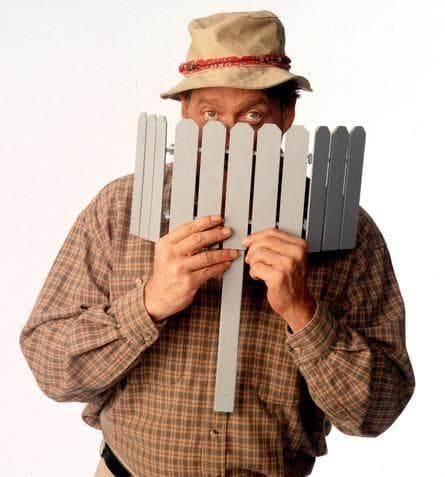 36+ Home Improvement Wilson Shows Face